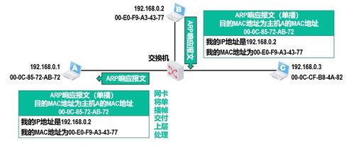 計算機網絡技術核心 深度解析網絡層
